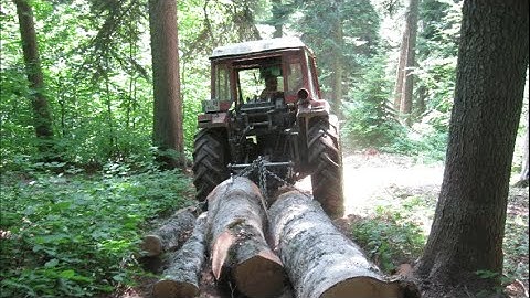 Amazing Dangerous Skills Fastest Big Tree Felling Extreme Biggest Tree Cutting Down Tractor Machines