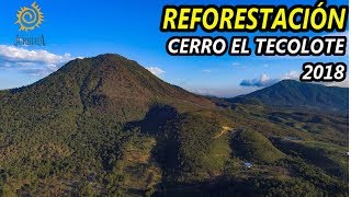 REFORESTACIÓN MASIVA EN EL CERRO EL TECOLOTE 2018 // ZACAPU - LAS CANOAS MICHOACÁN MÉXICO