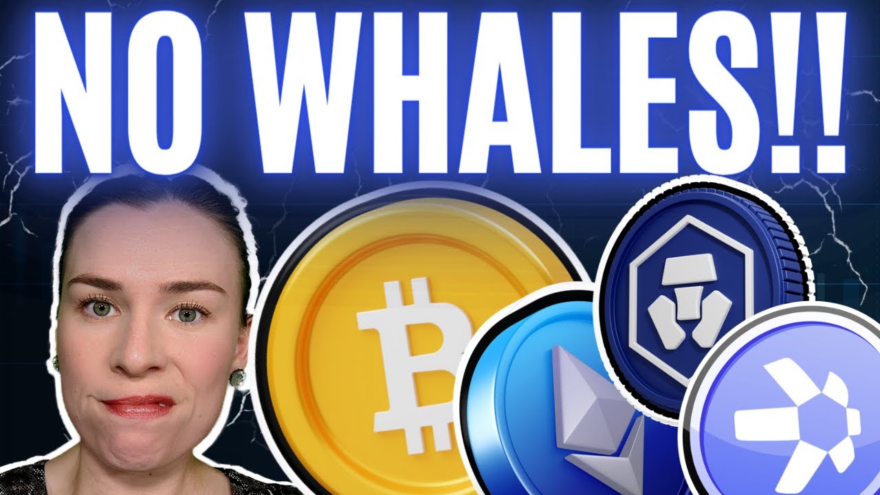 How to Use the Crypto.com Wallet - Bitcoin & Crypto Guide - Altcoin Buzz