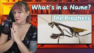 Famous Insect Taxonomy 101:  Mantodea the Praying Mantises Profile