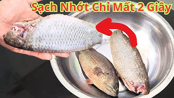 Cá Nhớt Nhiều Đến Mấy. Chỉ 2 Giây Sạch Nhớt 100% .Mẹo Làm Nhớt Cá Siêu Sạch Siêu Nhanh Hết Tanh Hôi