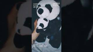 حالات واتس باندا 🐼🐾❤️