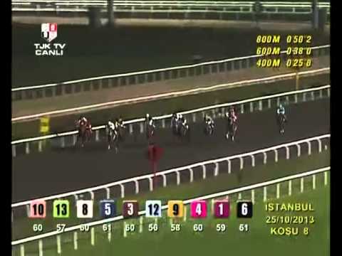 İstanbul Hipodromu (89. Yarış Günü) 8. Koşusu - YouTube