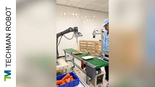 Коллаборативный робот (кобот) TM5-700 компании Techman Robot на пищевом предприятии