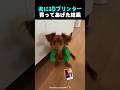 夫に3Dプリンターあげたらこれ作った