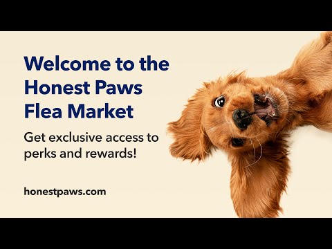 Honest Paws Flea Market - How to Earn Points and Redeem to Purchase Items - video from Honest Paws