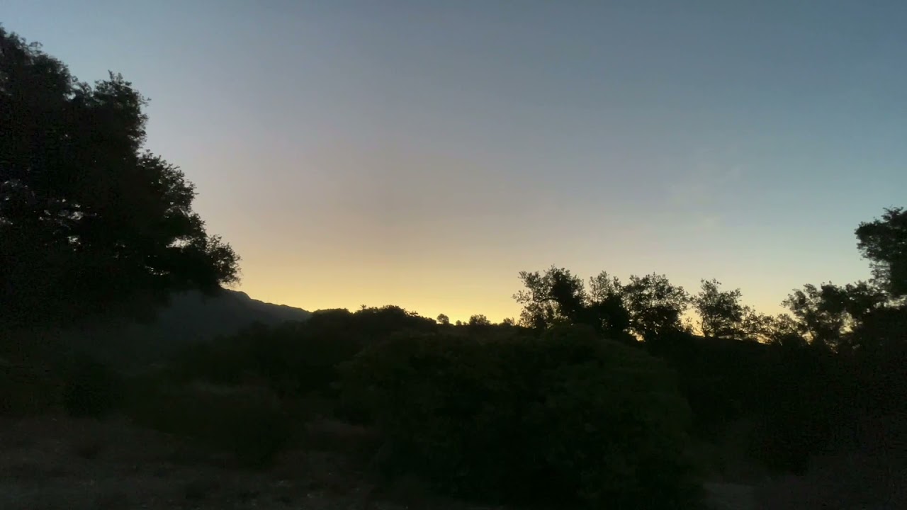 Dawn Chorus Mission Canyon September 2021
