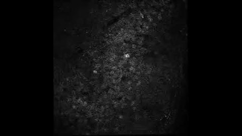 Representative in vivo imaging with GCAMP6m in hippocampus CA3