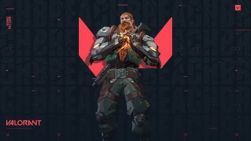 Spike Rush Only = Quick Vibes 🚀