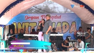MUSIBAH - ORGAN DANGDUT ANITA NADA | LIVE SHOW BALIR, 02. 08. 2022