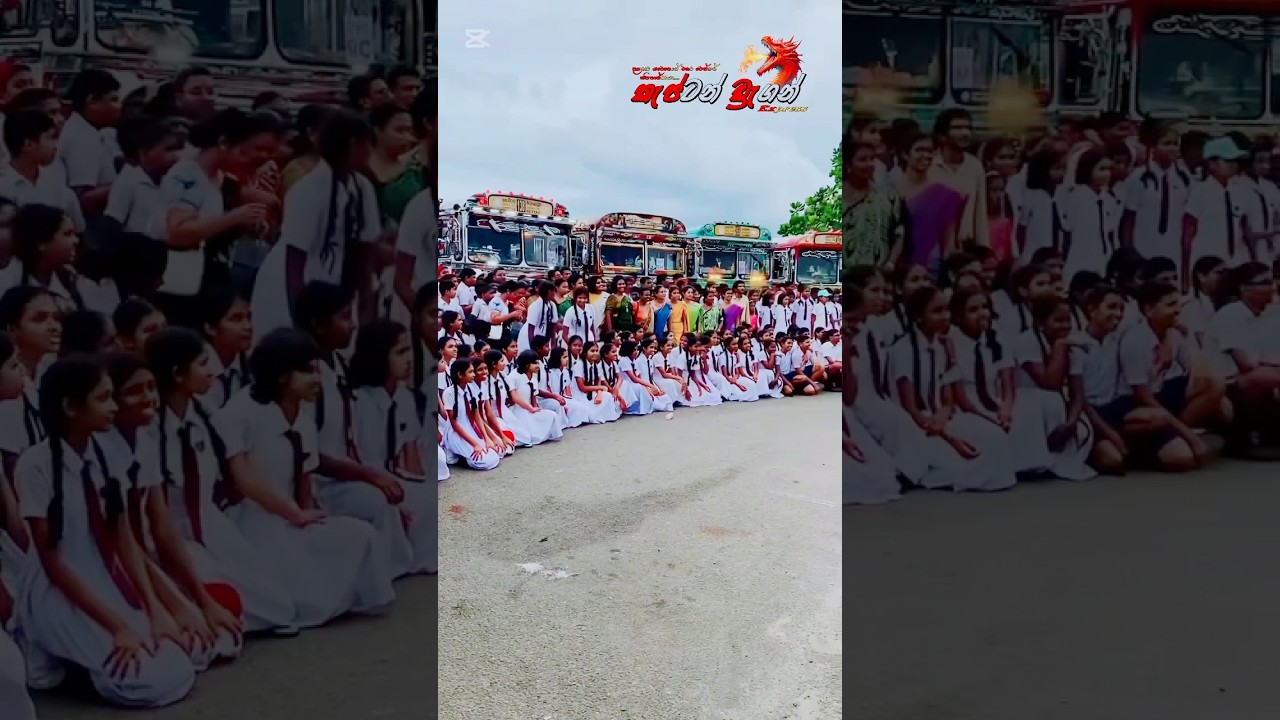 Trip වලින් ආතල්ම, school trip ද? 😅 