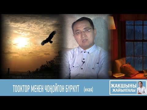 Video: Кыйкырган бүркүт деген эмне?