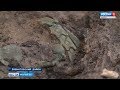 В посёлке Красногорский археологи обнаружили исторически важные находки
