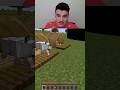 Köpeğimle tilkimi kurtardım... #minecraft #minecraftsadstory #shorts #viral #keşfet