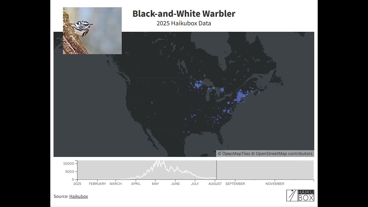 Black-and-white Warbler: Haikubox Bioacoustic Map