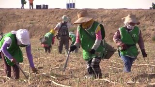 Pumped Dry: A conflict over water in Peru