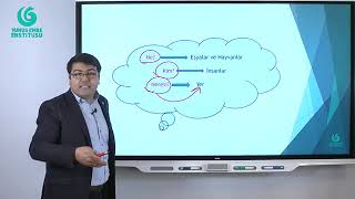 Turk Tilida Bu Şu O, Burada, Şurada, Orada