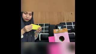 Alat Permainan Edukatif “Rumah Burung Pintar”