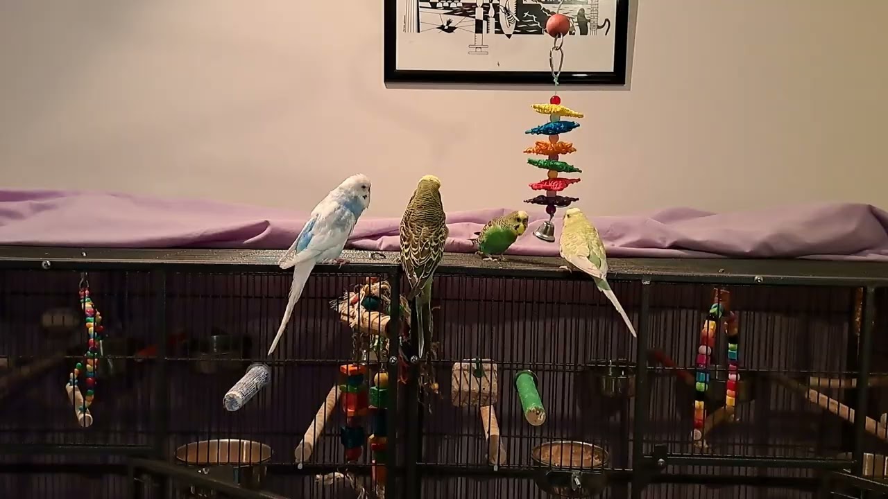 Hector Introduction Day, Pt 1