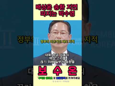 대북 송금 핵심 배상윤 송환 지연, 박수영의 날카로운 추궁 #대북송금 #국민의힘
