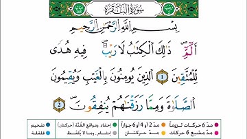 سورة البقرة برواية ورش عن نافع للقارئ أحمد بن قاسم باعلي و سعيد 
