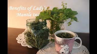 Benefits Of Lady's Mantle Tea - Women´s Health And Well-being