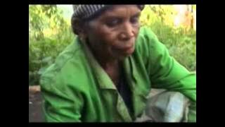 Lagu Bajawa^ Molo Miu   Sensi Lobo