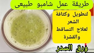 طريقة عمل شامبو طبيعى لتطويل وتكثيف الشعر (ورق السدر) لعلاج التساقط والقشرة