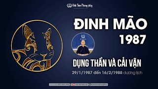 Đinh mão 1987 | Dụng thần cải vận đinh mão 1987 mệnh gì | Tuổi đinh mão 1987