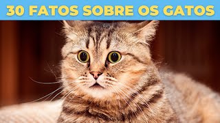 30 CURIOSIDADES sobre os GATOS 🐱 Que você não sabia !!