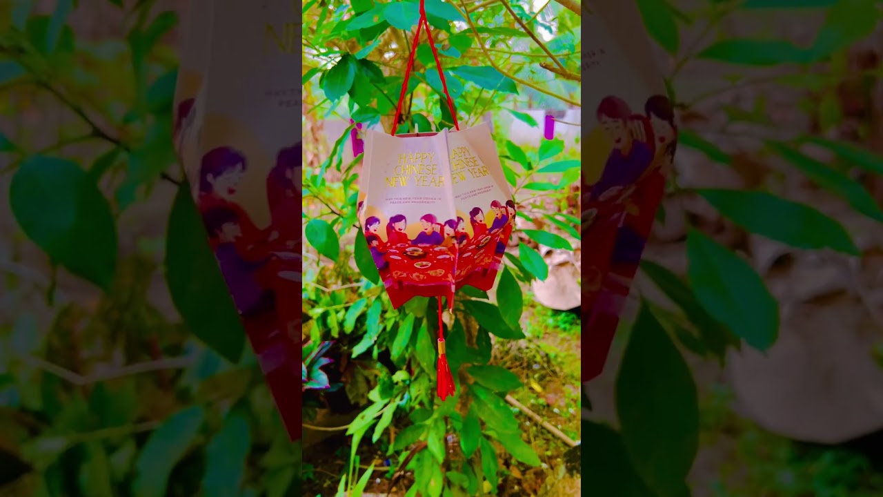 Chinese New Year Decor #cny2025 #cnydiy #cnydecor
