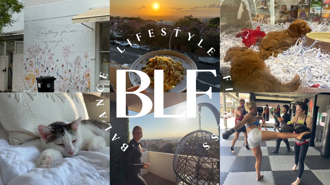 Another day in the life in Sydney | Muay Thai Training, Clients, Check-ins & Sunsets 