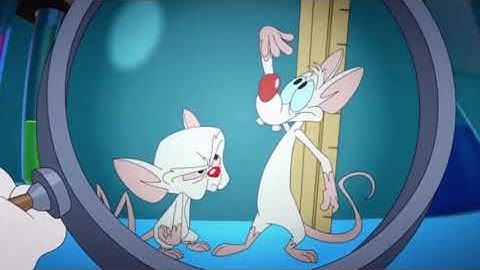 Ever Single Pinky and the Brain Intro Ever