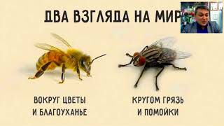 Трансформация в Жизни=Трансформация в Бизнесе Обучение диета прощения Трансформация в Жизни=Трансформация в Бизнесе Обучение диета прощения