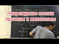 Патофизиология. Повреждение клетки. Этиология и патогенез.