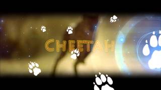 DCUO - Intro (Cheetah)