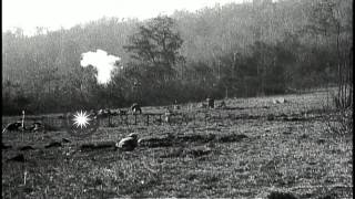 US AEF training in France, during World War I.  General John Joseph Pershing revi...HD Stock Footage