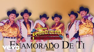 Conjunto Primavera - Enamorado De Ti (Visualizer)