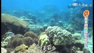 【小主播看天下】20150930 - 第333集