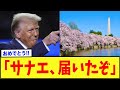 【友好】日本から米国に送られた桜250本の植樹式が開催される
