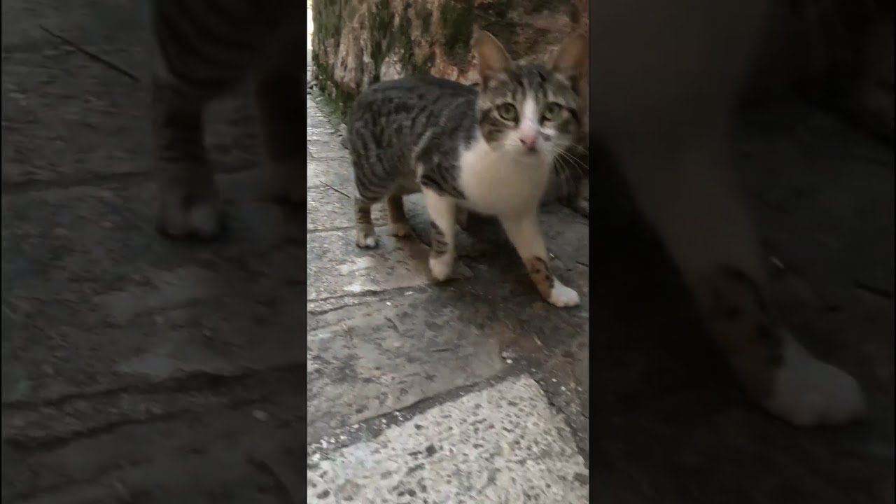 А я тут могу пробежать? 