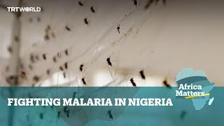 Africa Matters: Nigeria casts net wide against malaria