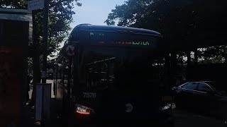 MTA BUS: BX4, BX11, BX36, BX39, Q44- SBS, BXM10 & NIS Bus action @ Parkchester - East 177th Street