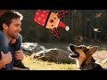 🦌 Cutest Christmas Dog Toy! Cup Elk Squeaky Toy to Cure Dog Boredom 🎉