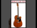 Rogue RA-090 dreadnought acoustic-electric guitar