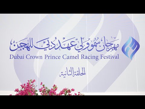 اهل الهجن مهرجان سمو ولي عهد دبي للهجن هيثم الحمادي الحلقة الثانية ١١ ١ ٢٠٢٦