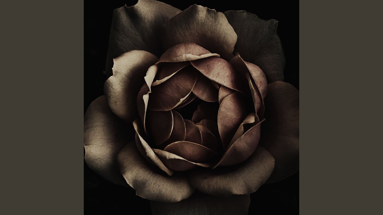 Hai Tera Roza Mujhe Garib