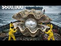 How Fishermen Earn $600,000 Harvesting Rare Black Pearls