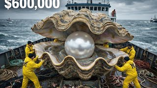 How Fishermen Earn $600,000 Harvesting Rare Black Pearls