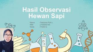 Tugas Mandiri IPA Dasar Observasi Hewan Sapi